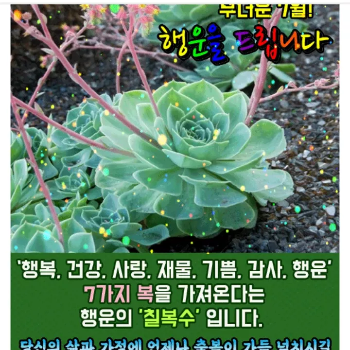 李灿元的最新照片