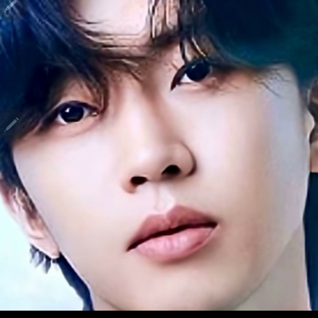 임영웅 팬이 찍은 순간