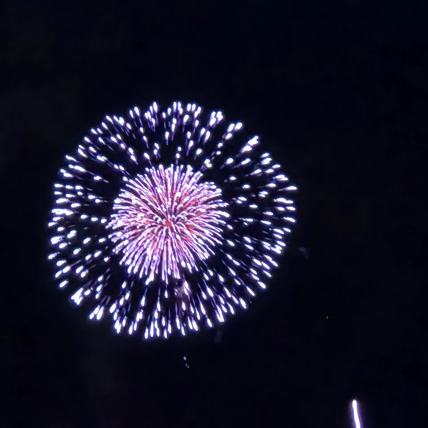 Kim Doyoung的幕後花絮