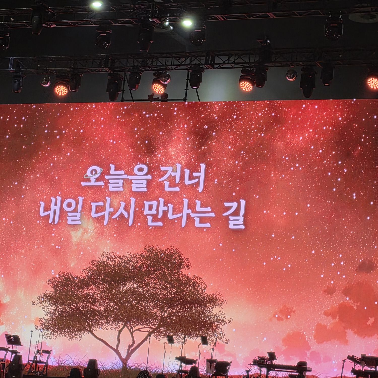 郑东元的幕后花絮