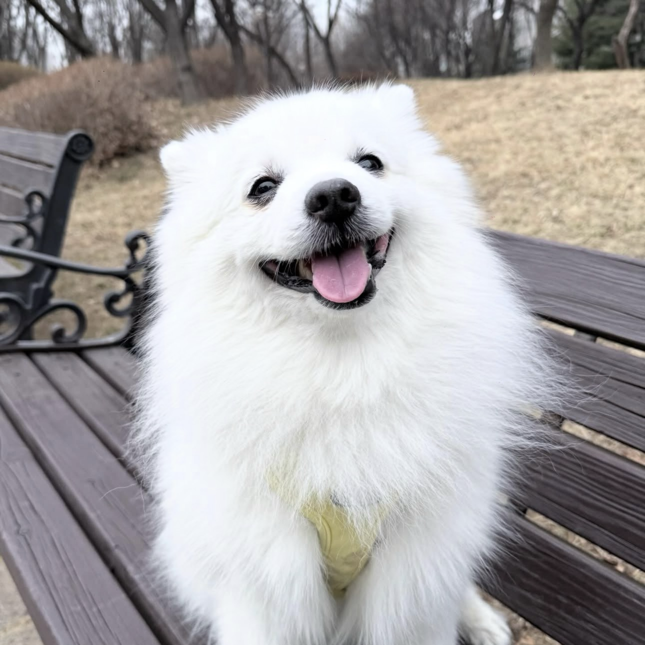 Latest photo of BADA