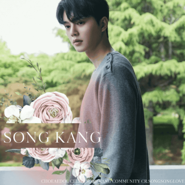 A moment captured by a fan of Song Kang