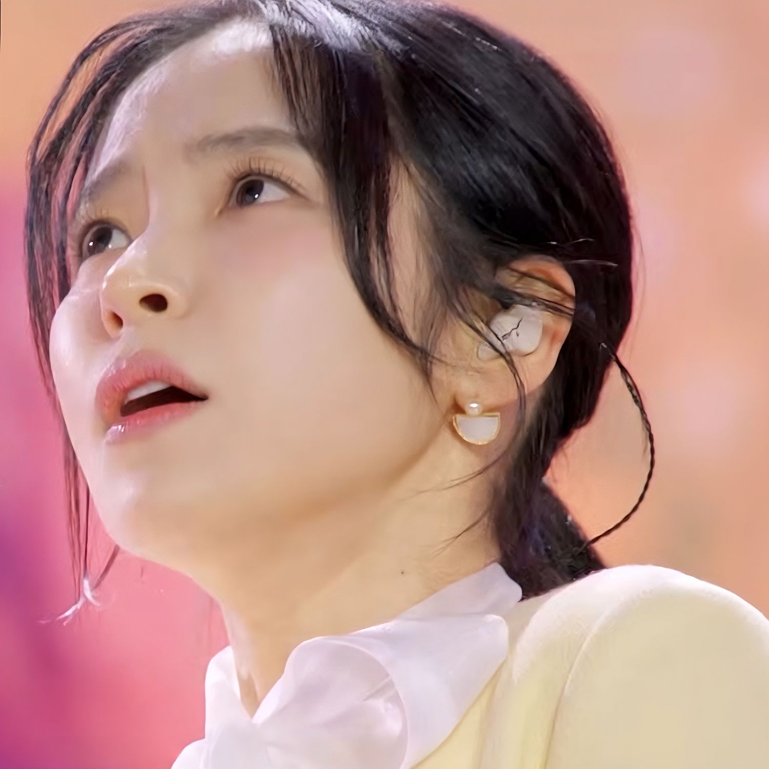 홍자 팬이 찍은 순간