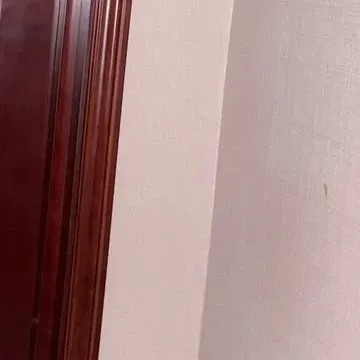 Recent activity shot of Bona