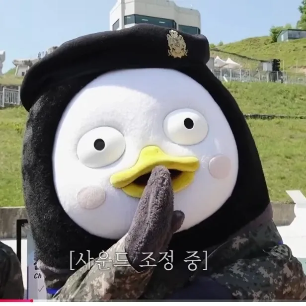 Recent activity shot of Pengsoo