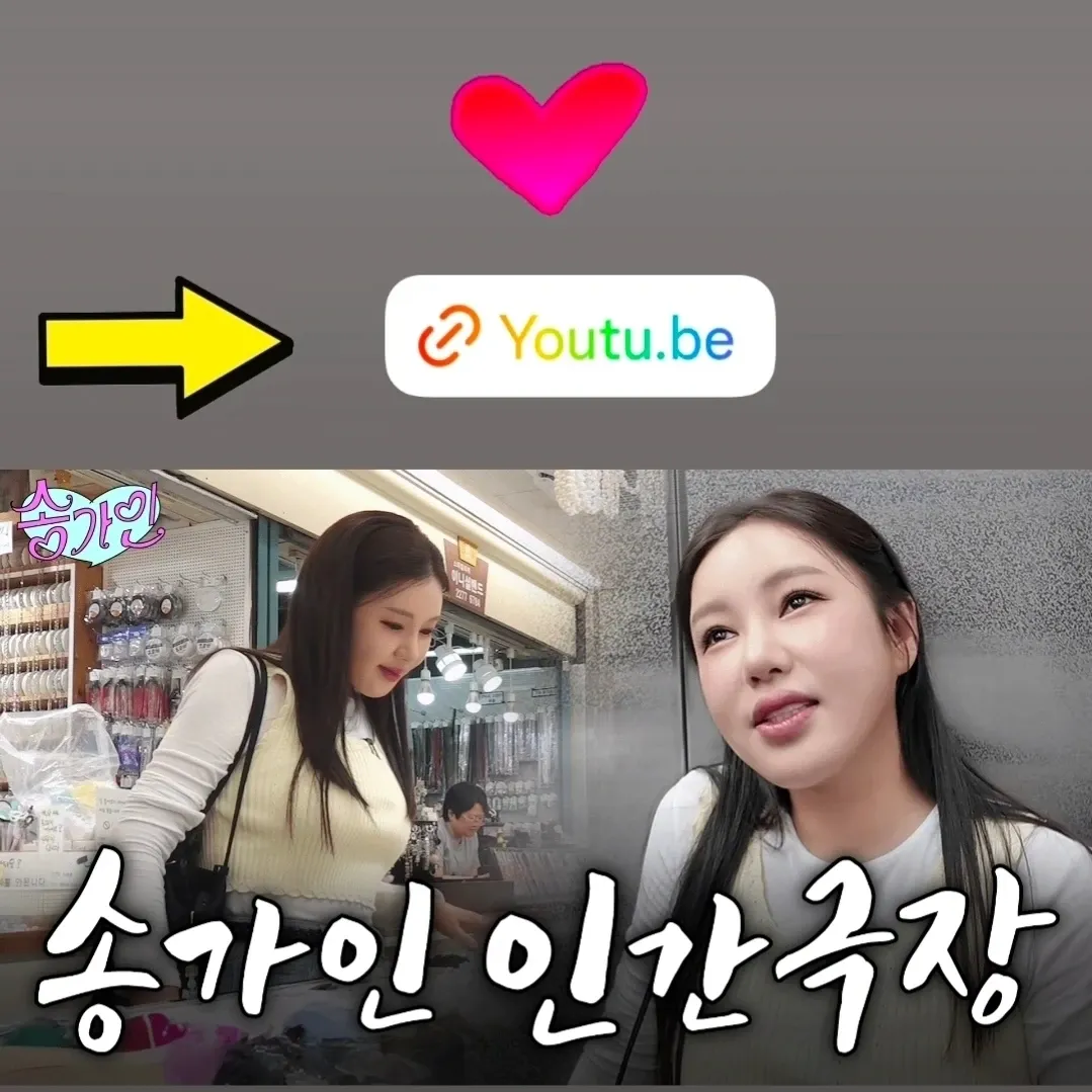송가인 팬이 찍은 순간