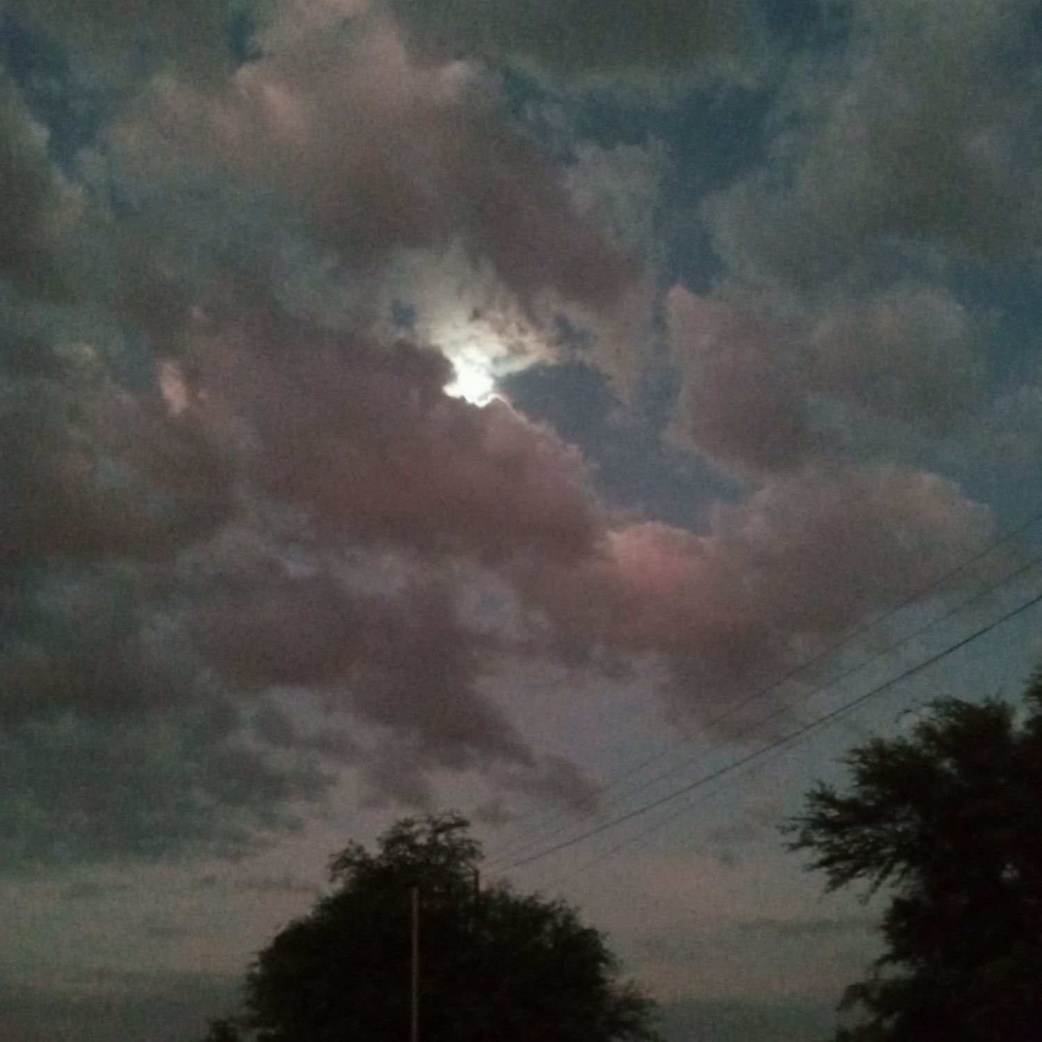 池昌旭的近期活动照