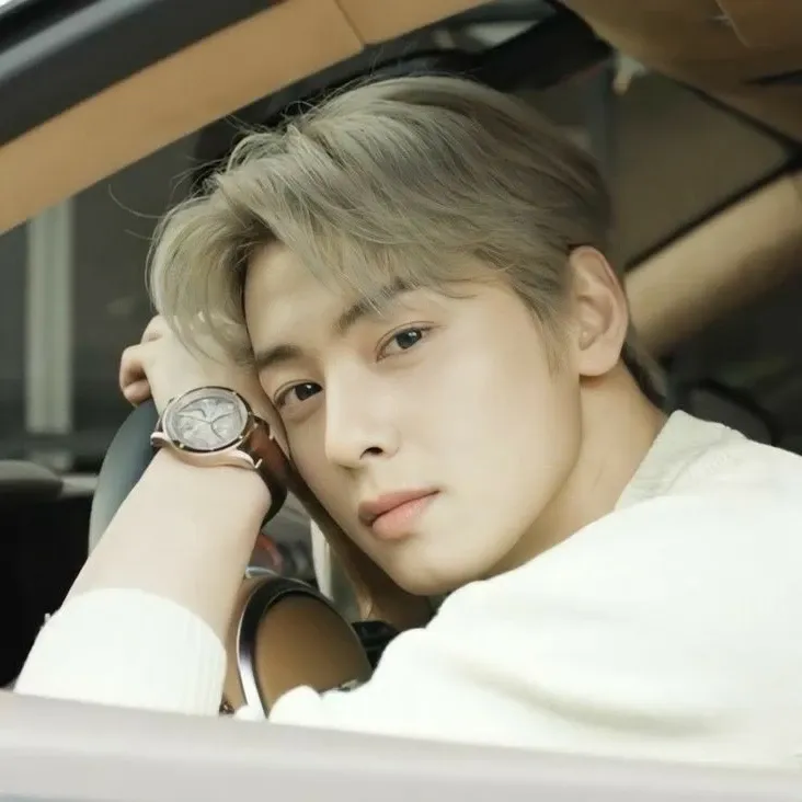 Behind-the-scenes cut of Cha Eunwoo