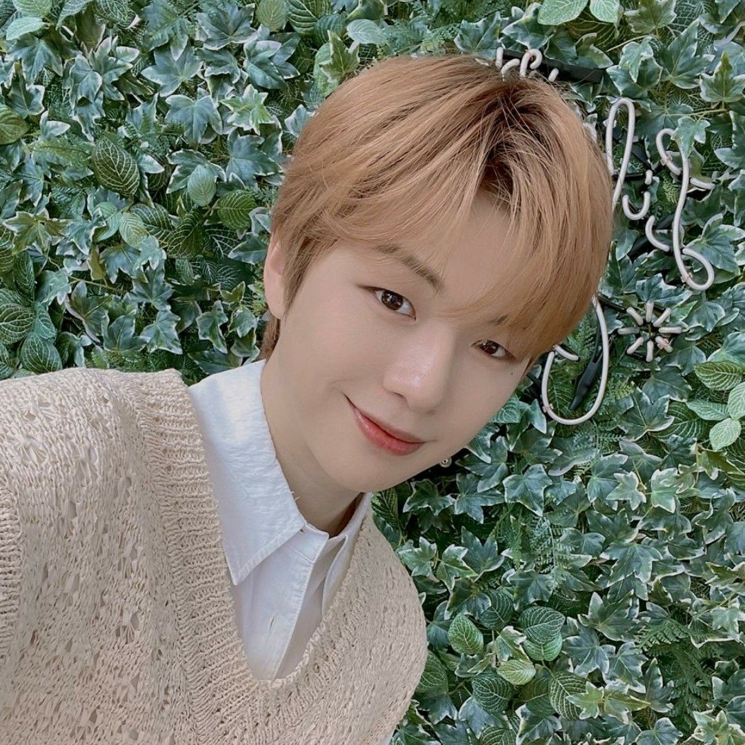 秘密の部屋の最近の活動ショット