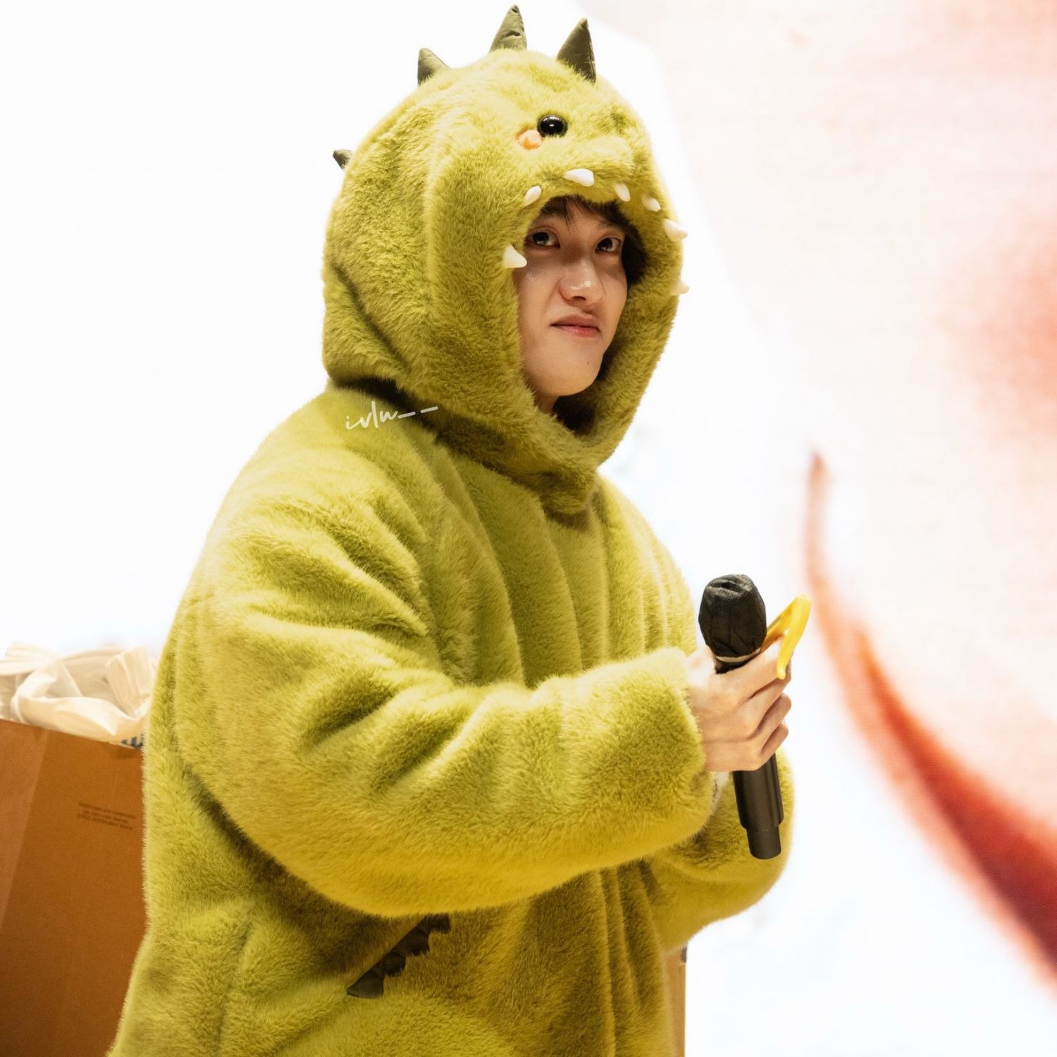 도경수 (디오) 팬이 찍은 순간