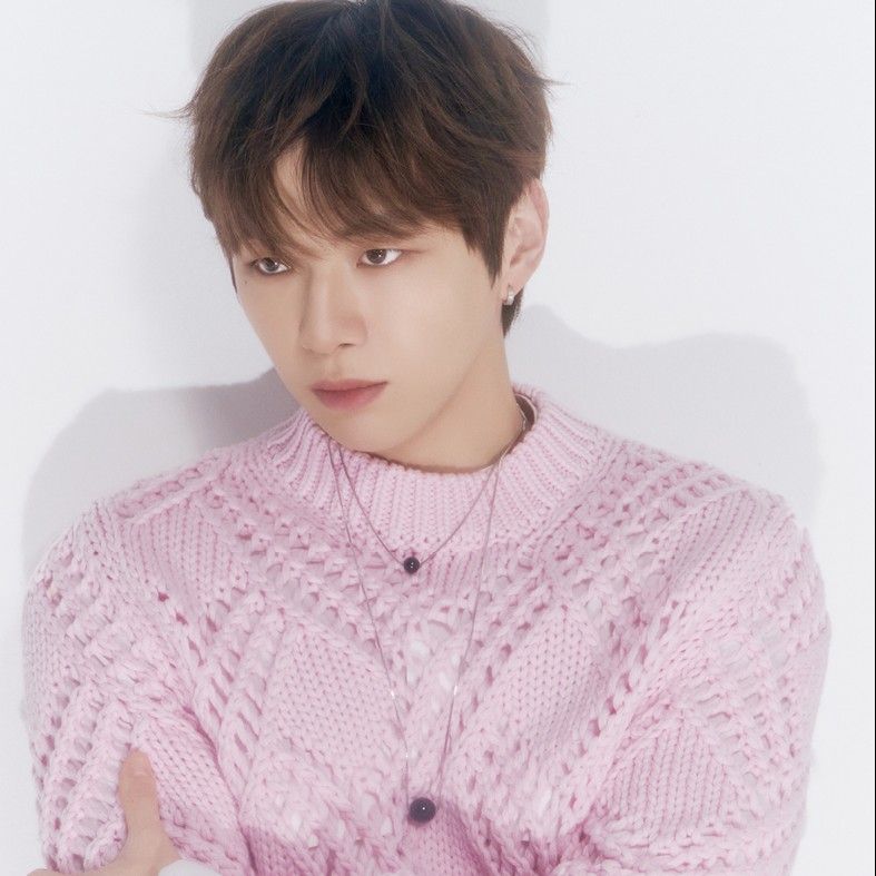 秘密空间的最新照片