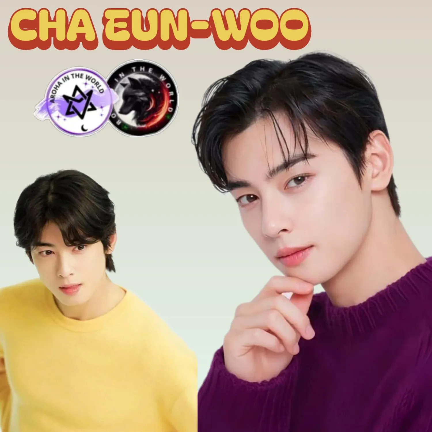 A moment captured by a fan of Cha Eunwoo