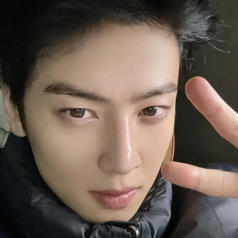 Latest photo of Cha Eunwoo