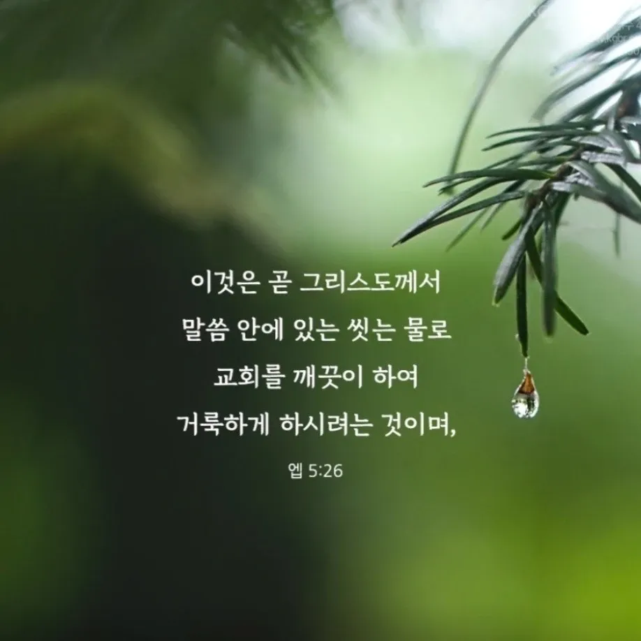 金浩中的最新照片