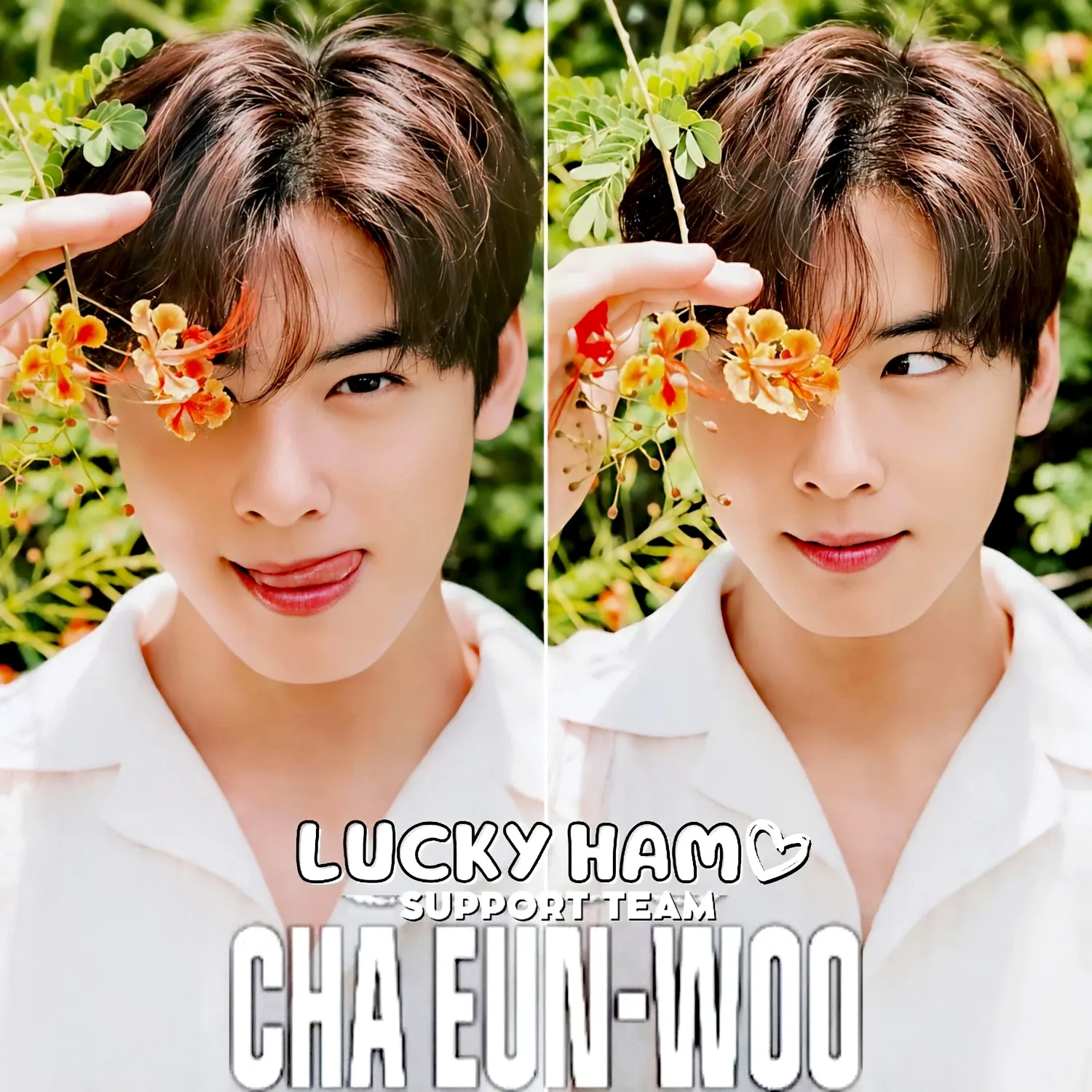 Recent activity shot of Cha Eunwoo