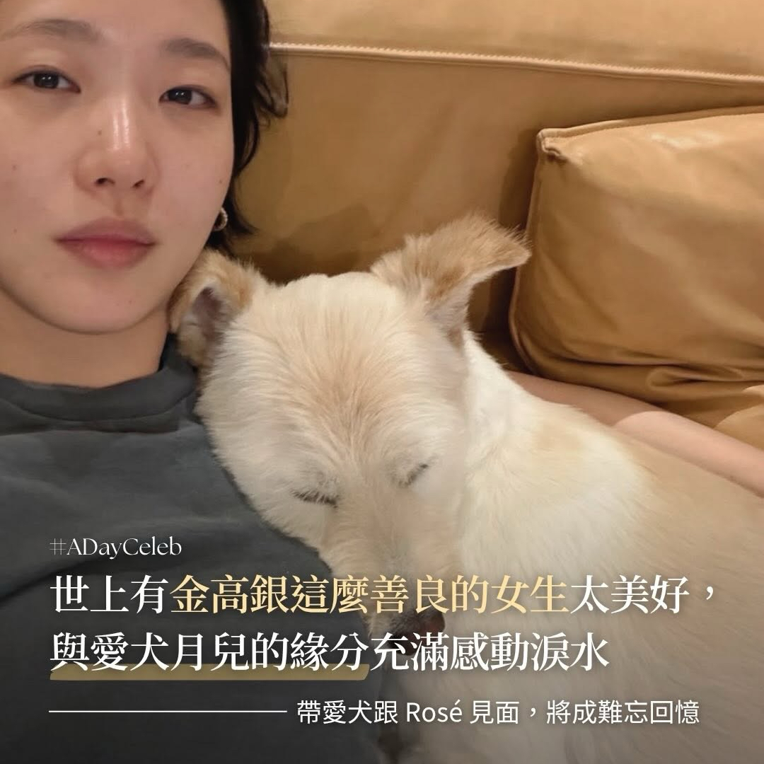 金高銀的最新照片