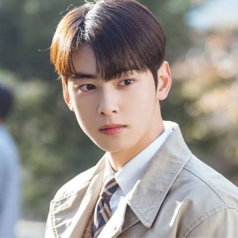 Behind-the-scenes cut of Cha Eunwoo