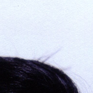 粉絲拍下的都暻秀 (D.O.)瞬間