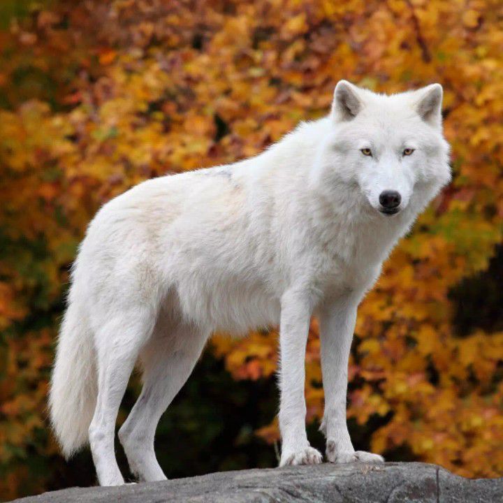 Behind-the-scenes cut of Kim Heeae