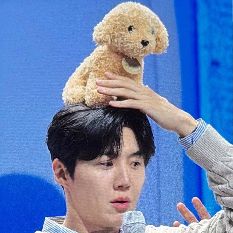 김선호 팬이 찍은 순간