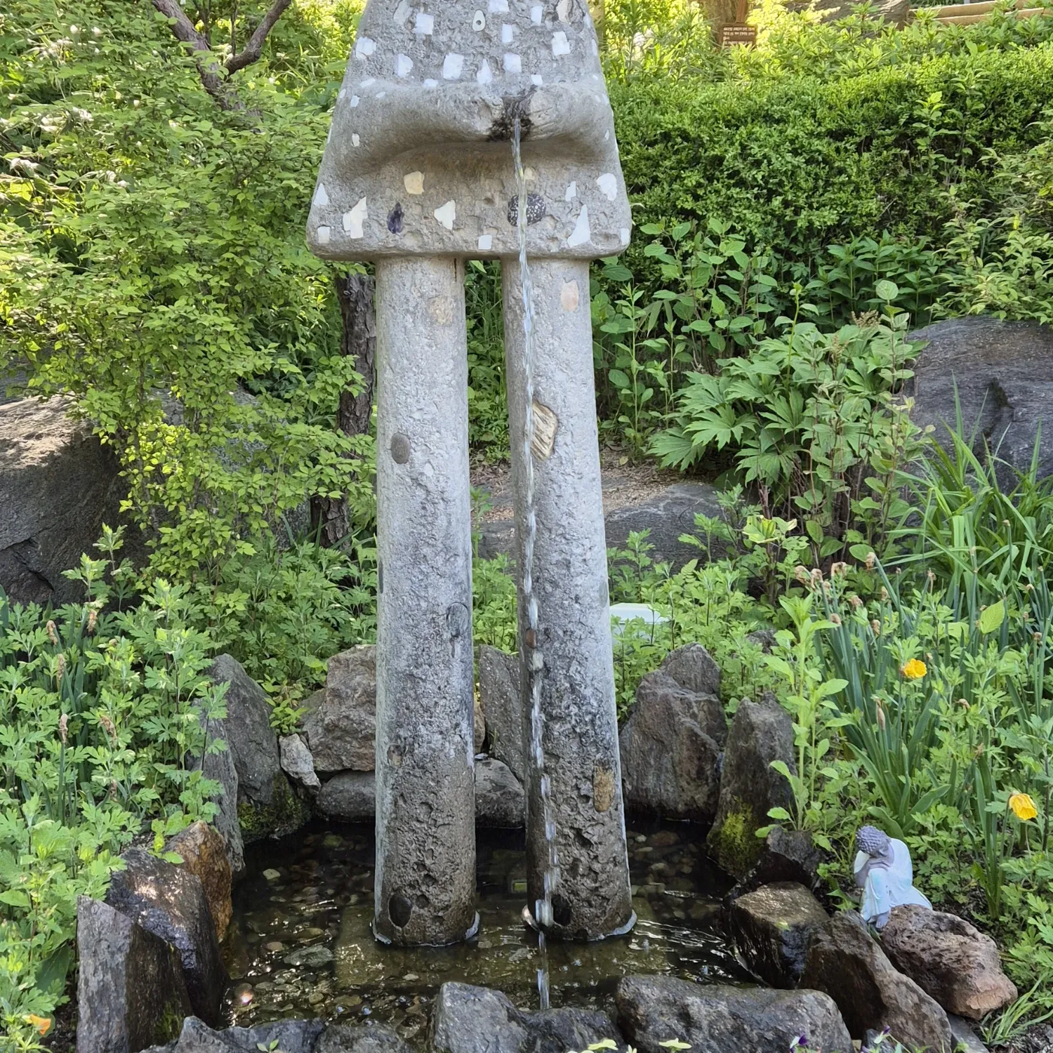 이찬원 팬이 찍은 순간