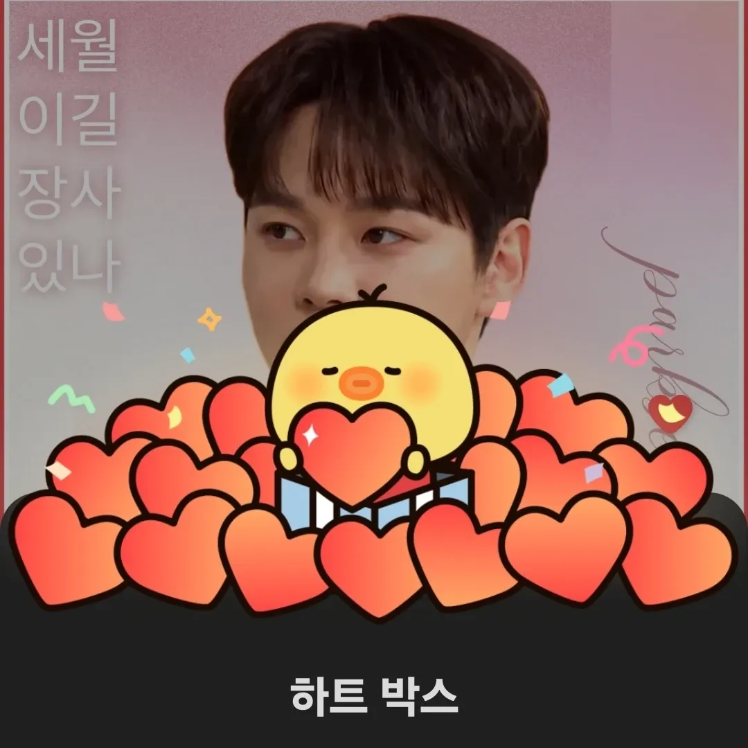 박서진의 최신 사진