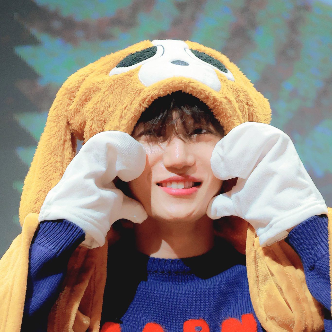 A moment captured by a fan of KAI