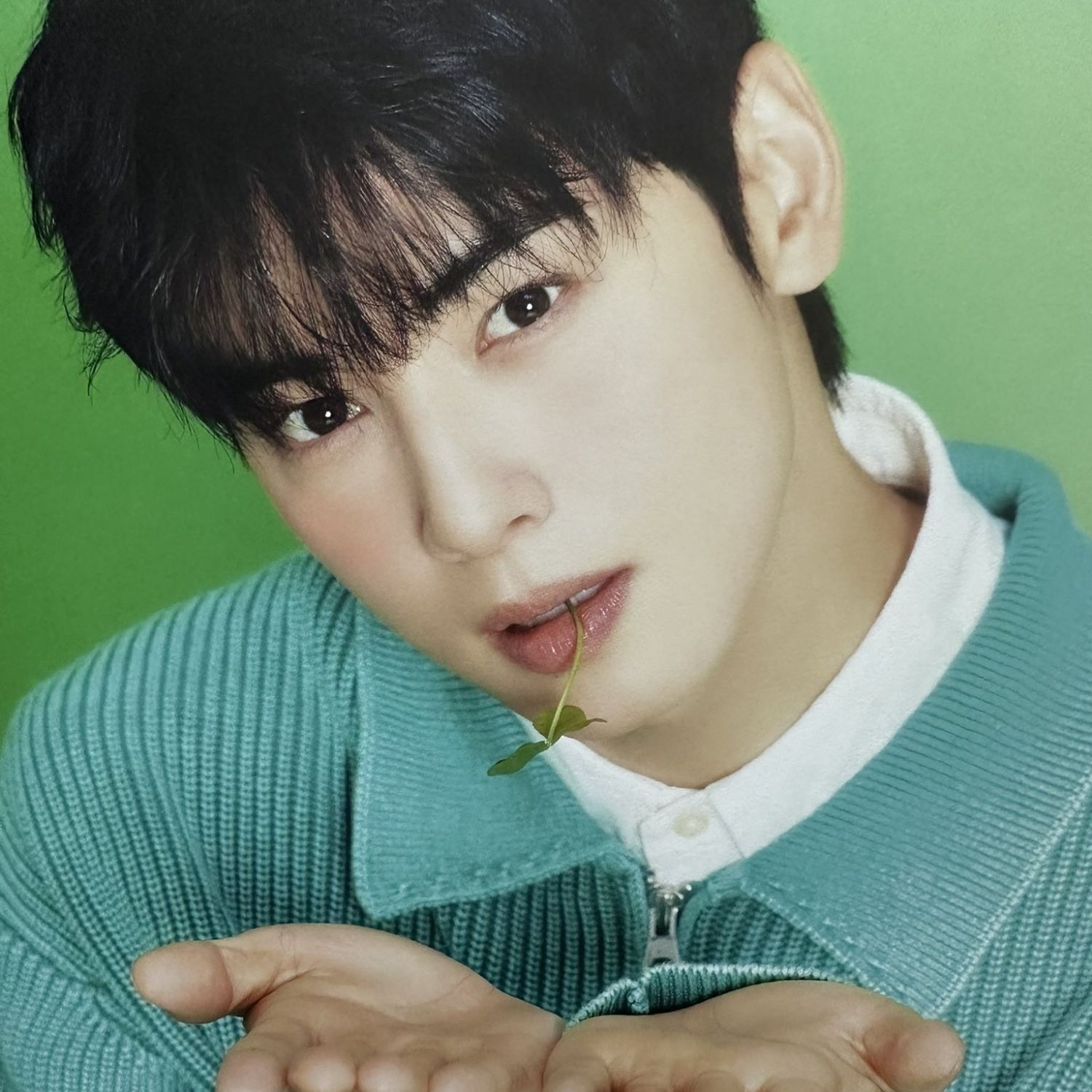 车银优的最新照片