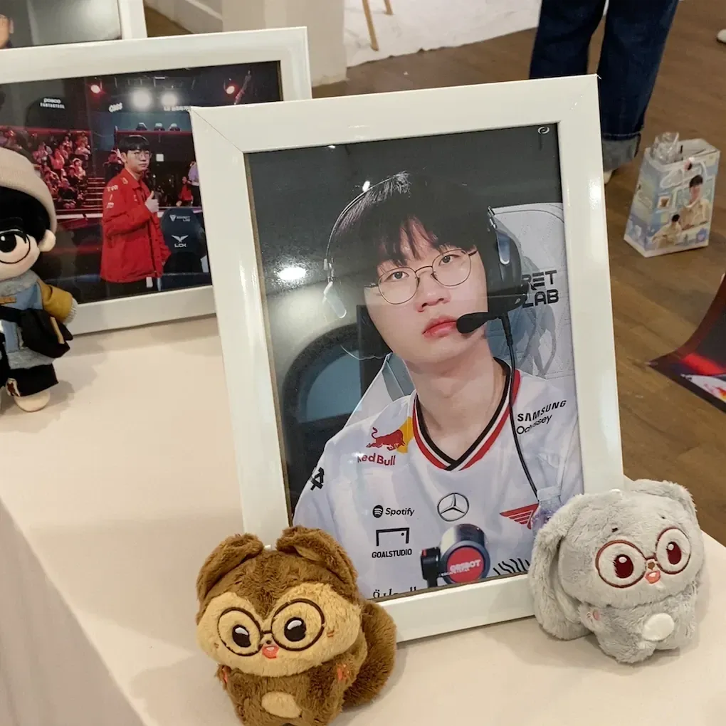 도란 최근 활동샷