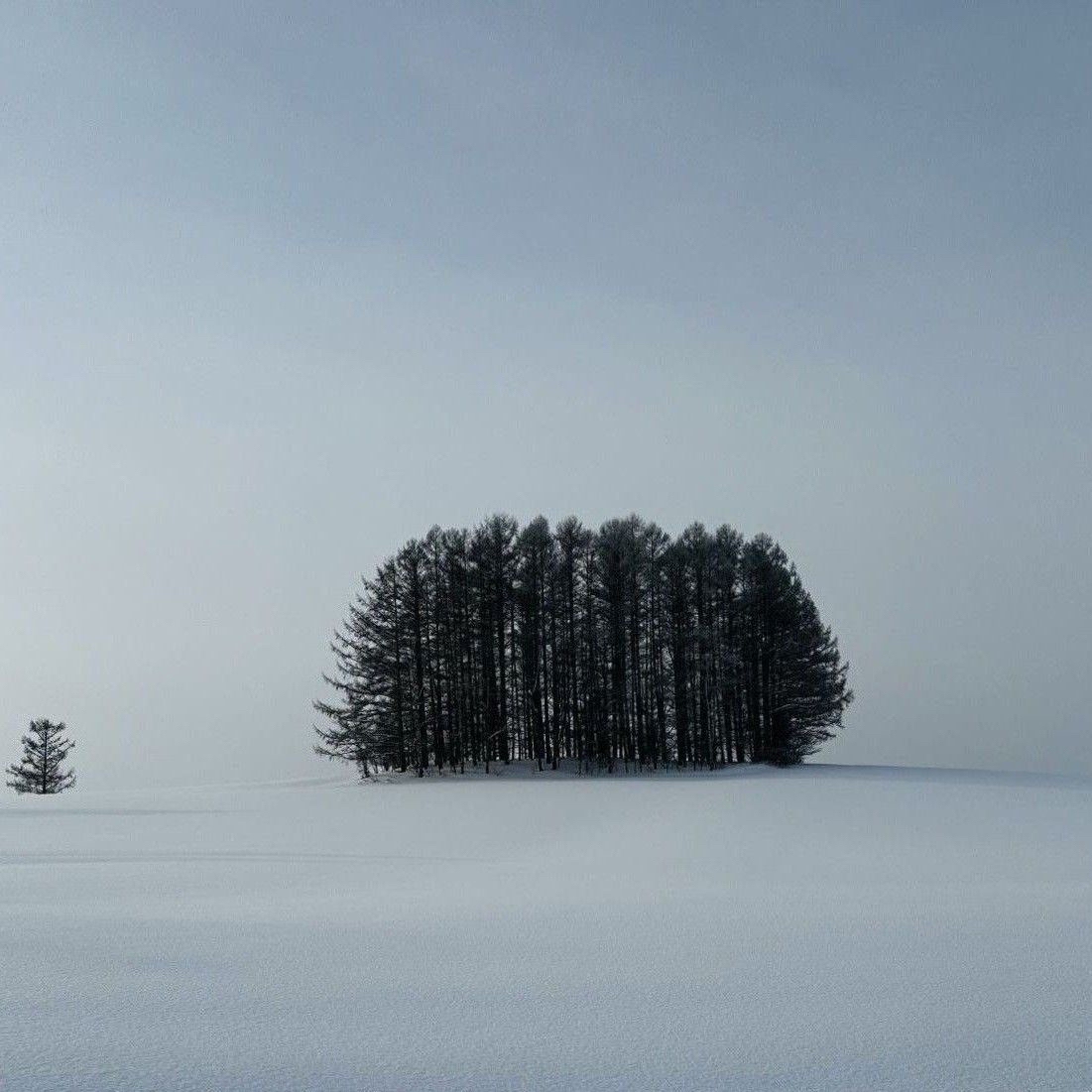 ド・ギョンス (ディオ)のビハインドカット