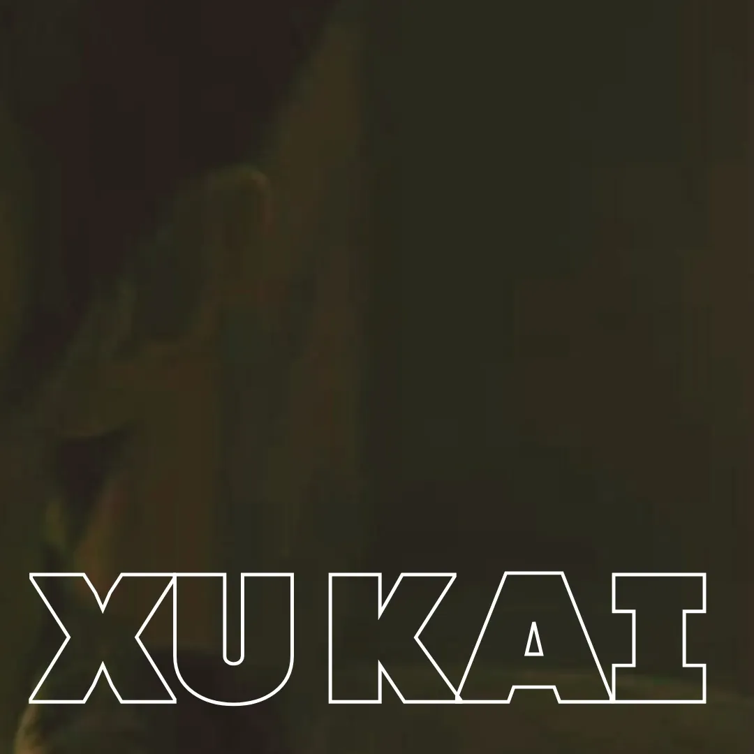Recent activity shot of Xu Kai