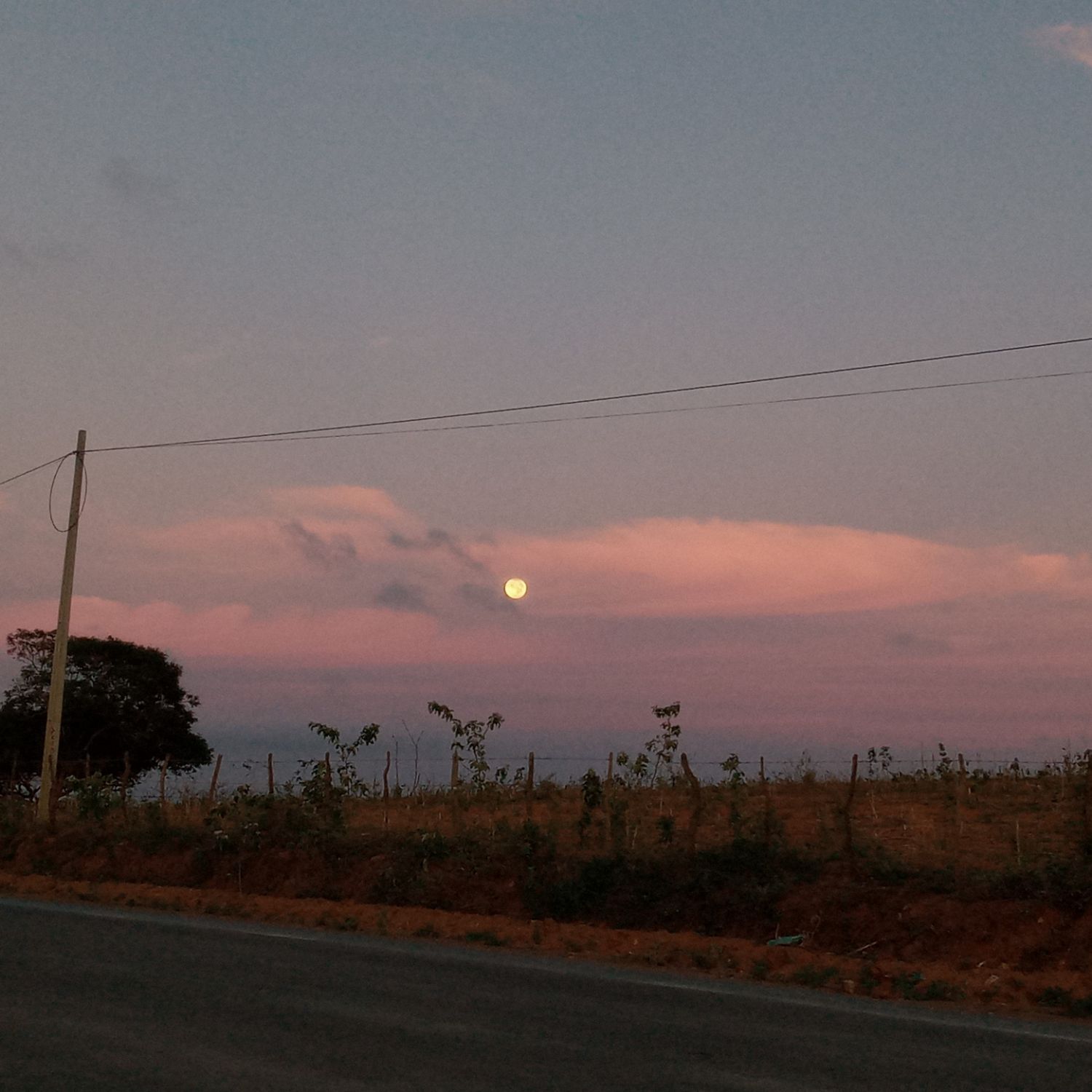 チ・チャンウクの最新写真