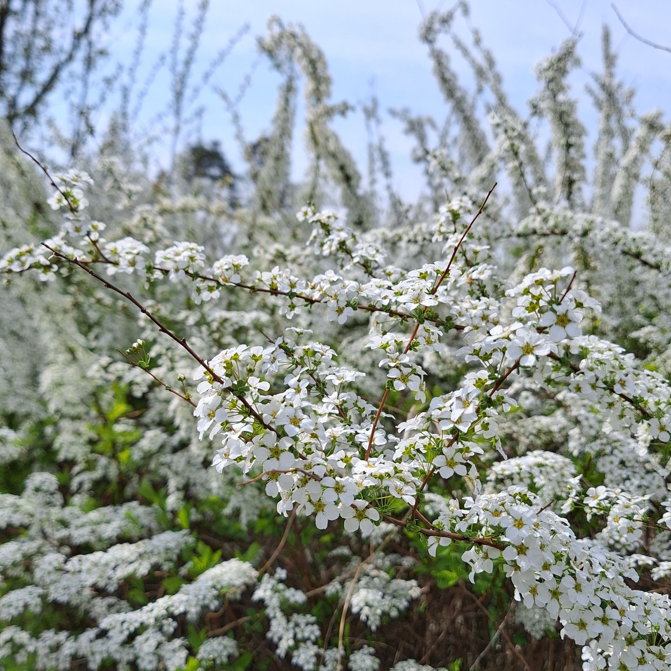 A moment captured by a fan of Cha Junhwan