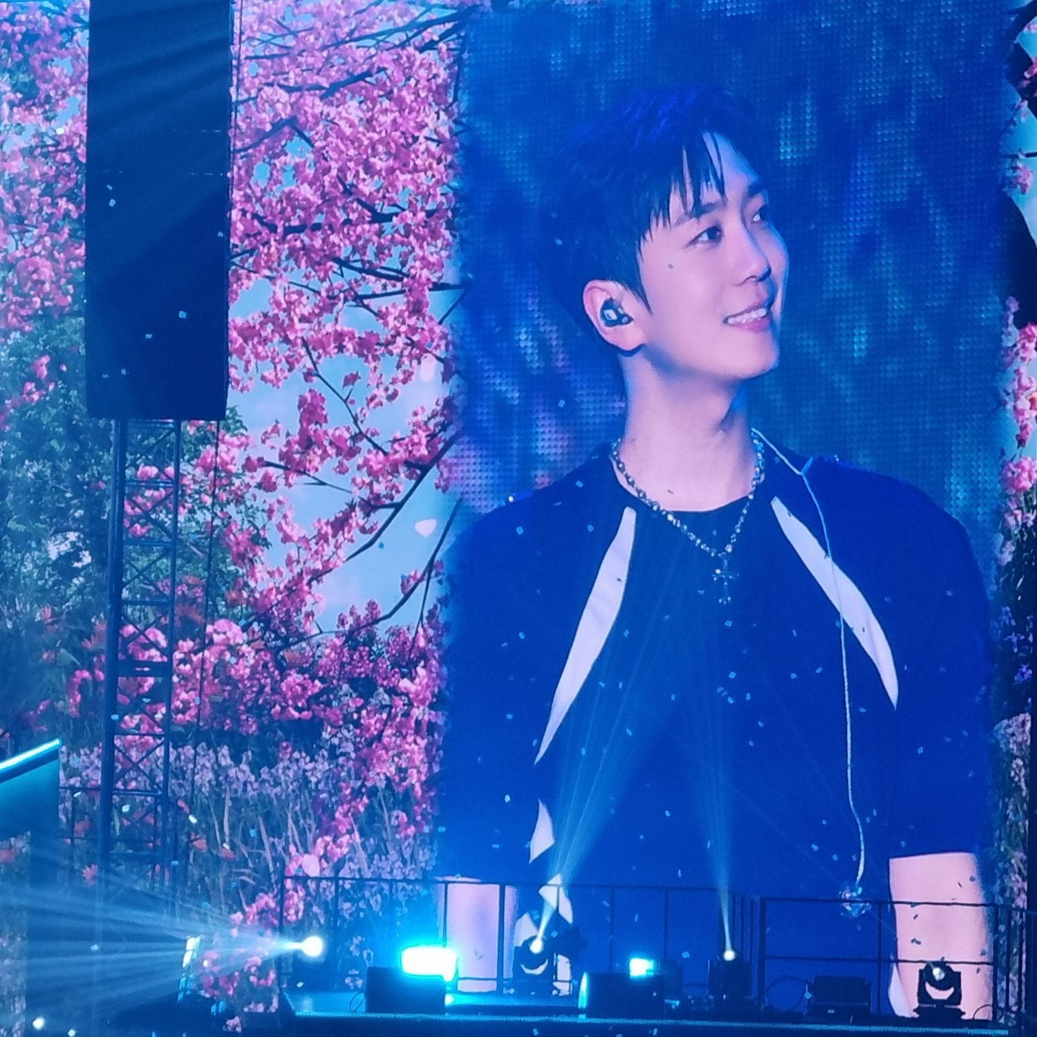 A moment captured by a fan of Forestella