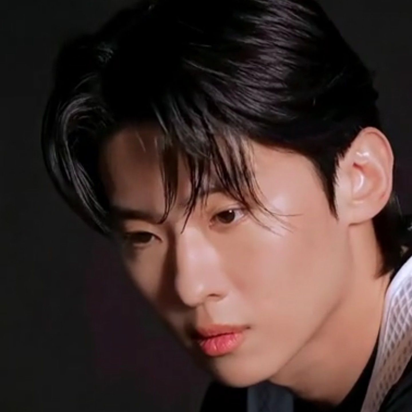 Recent activity shot of Dex