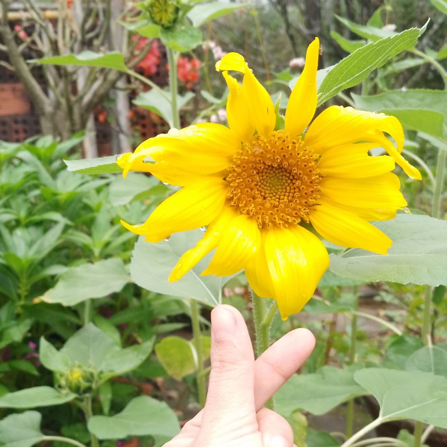 Cuplikan di balik layar dari Gumayusi