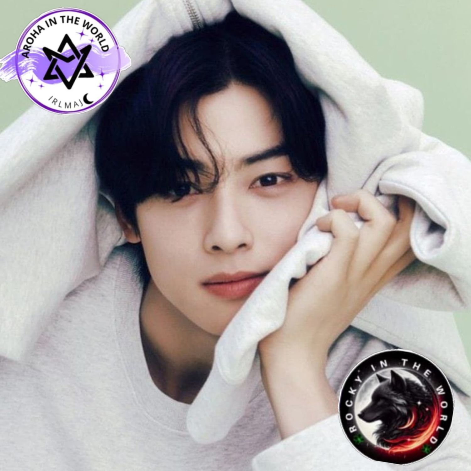 Momen yang diabadikan oleh penggemar Cha Eunwoo