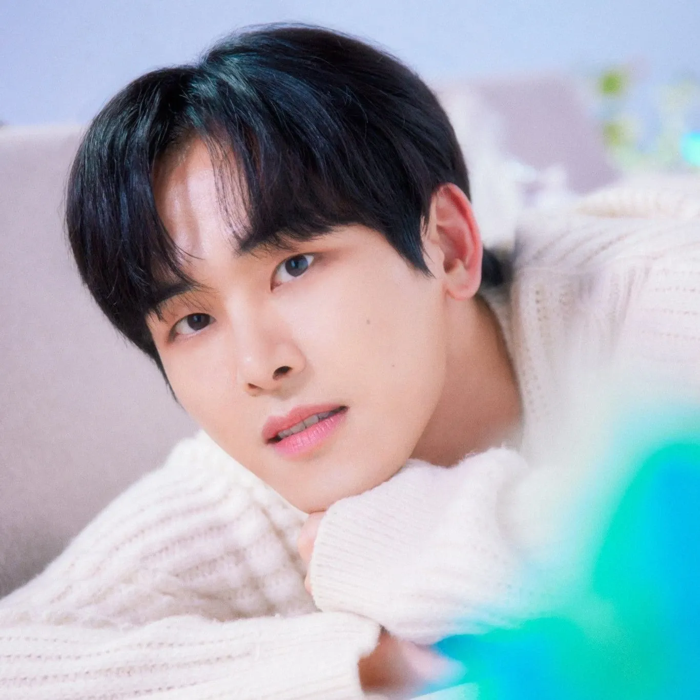 Recent activity shot of Hoya
