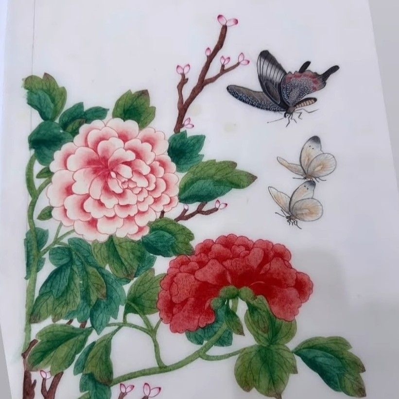 粉絲拍下的朴瑞鎮瞬間