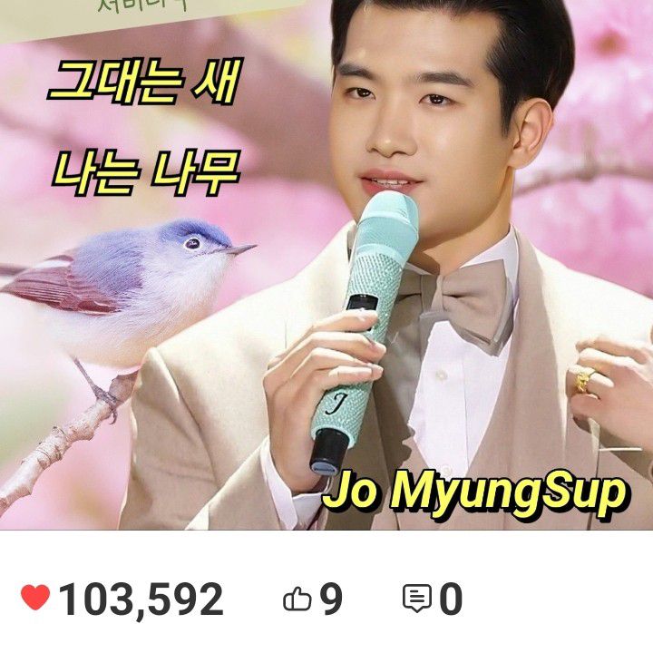 赵明燮的幕后花絮