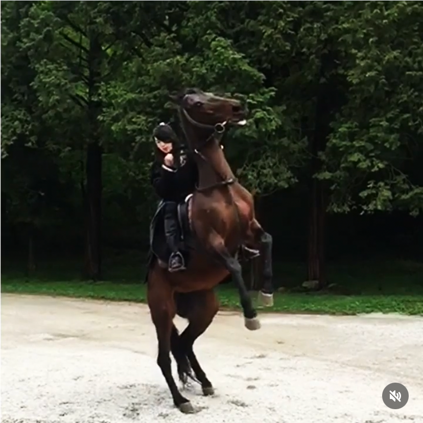 이준기 팬이 찍은 순간