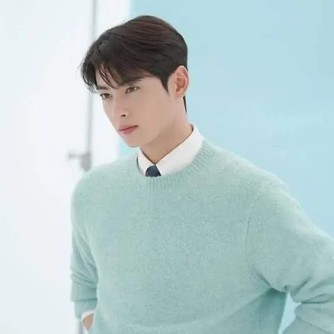 Recent activity shot of Cha Eunwoo