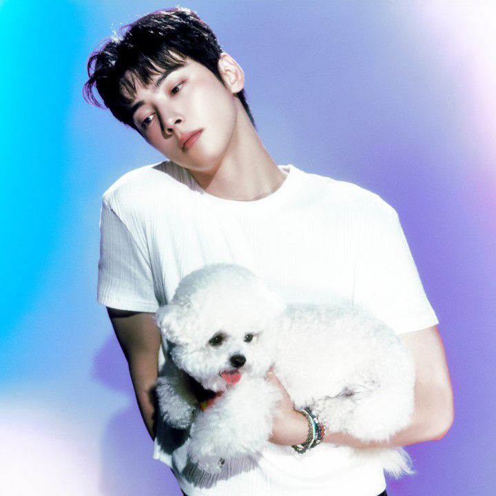 车银优的近期活动照