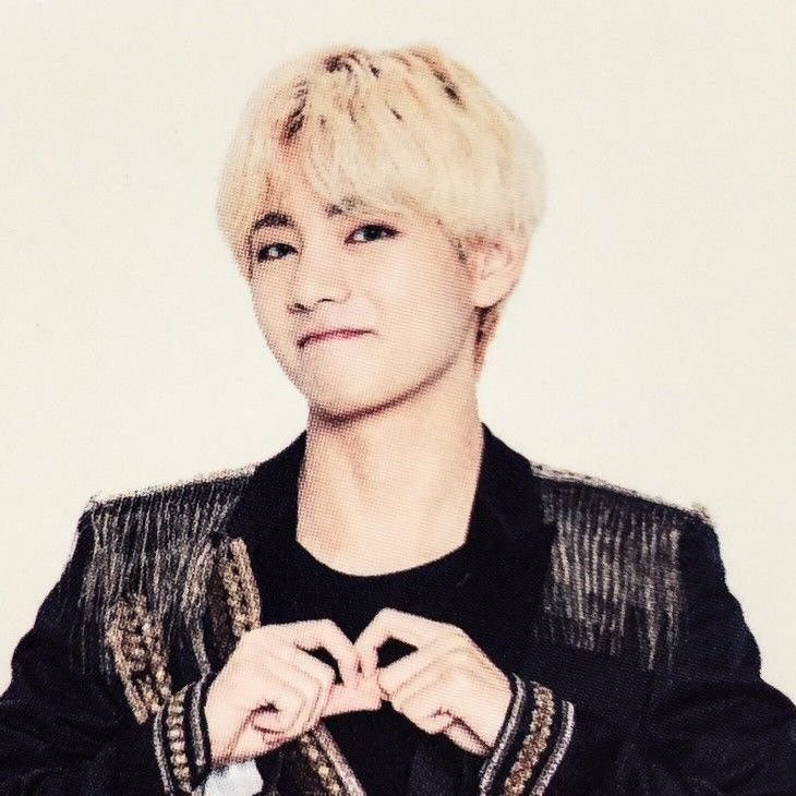 Feed komunitas selebriti terpopuler hari ini