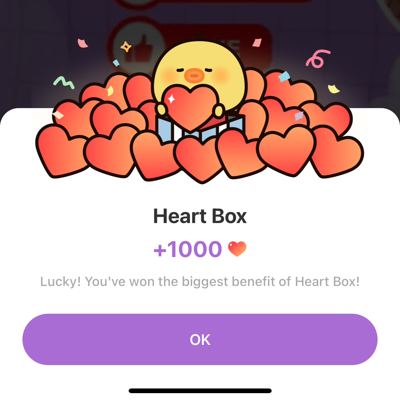 송지효 최근 활동샷