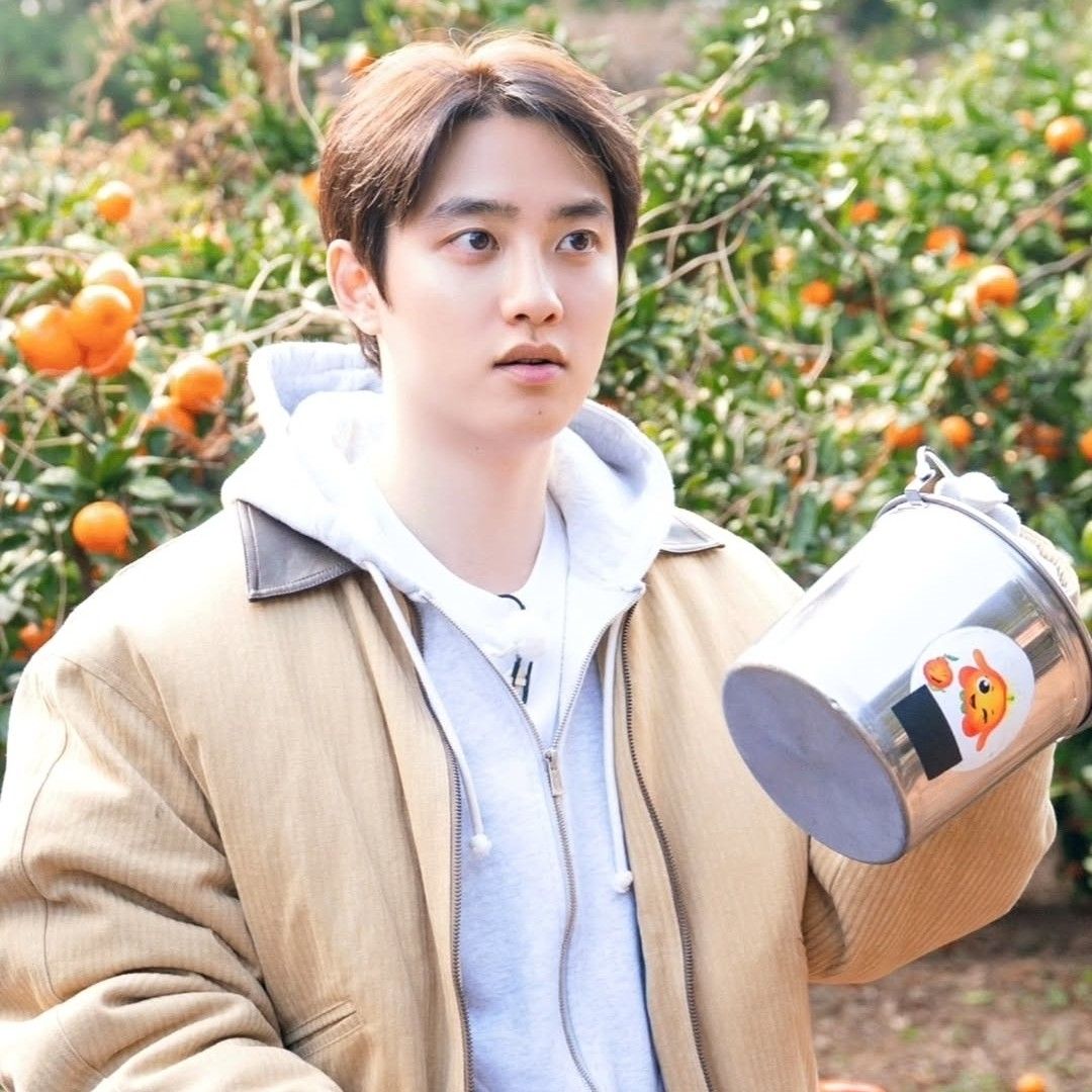 도경수 (디오) 팬이 찍은 순간