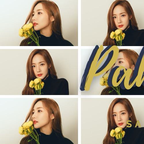 박민영 팬이 찍은 순간