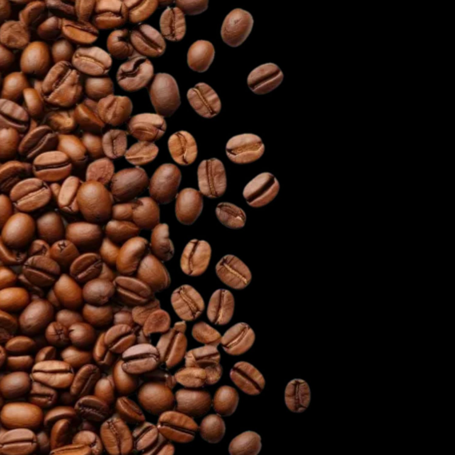 A moment captured by a fan of Moon Chaewon