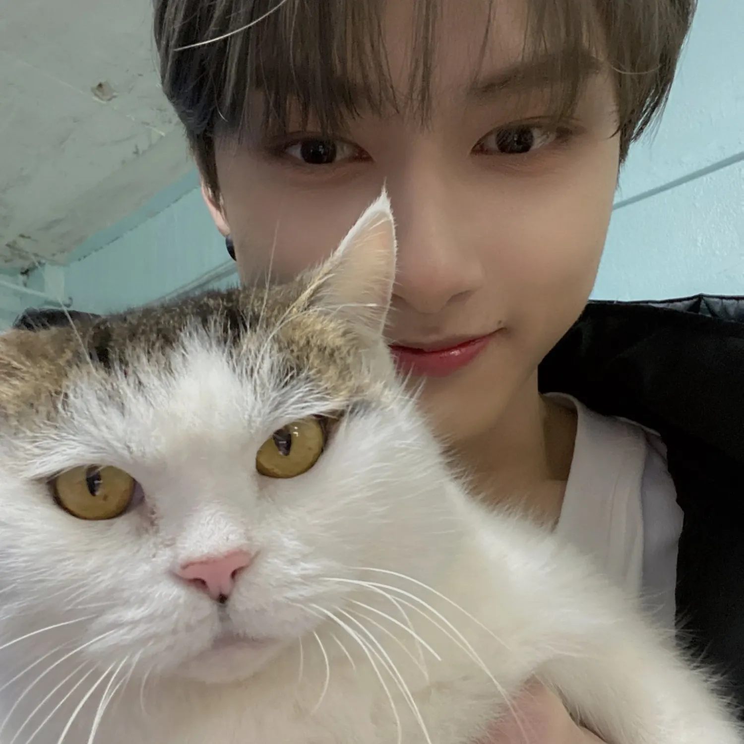Recent activity shot of Wen Junhui