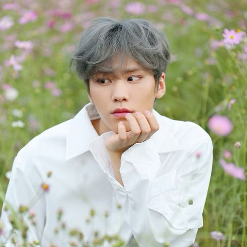 Recent activity shot of Cha Eunwoo